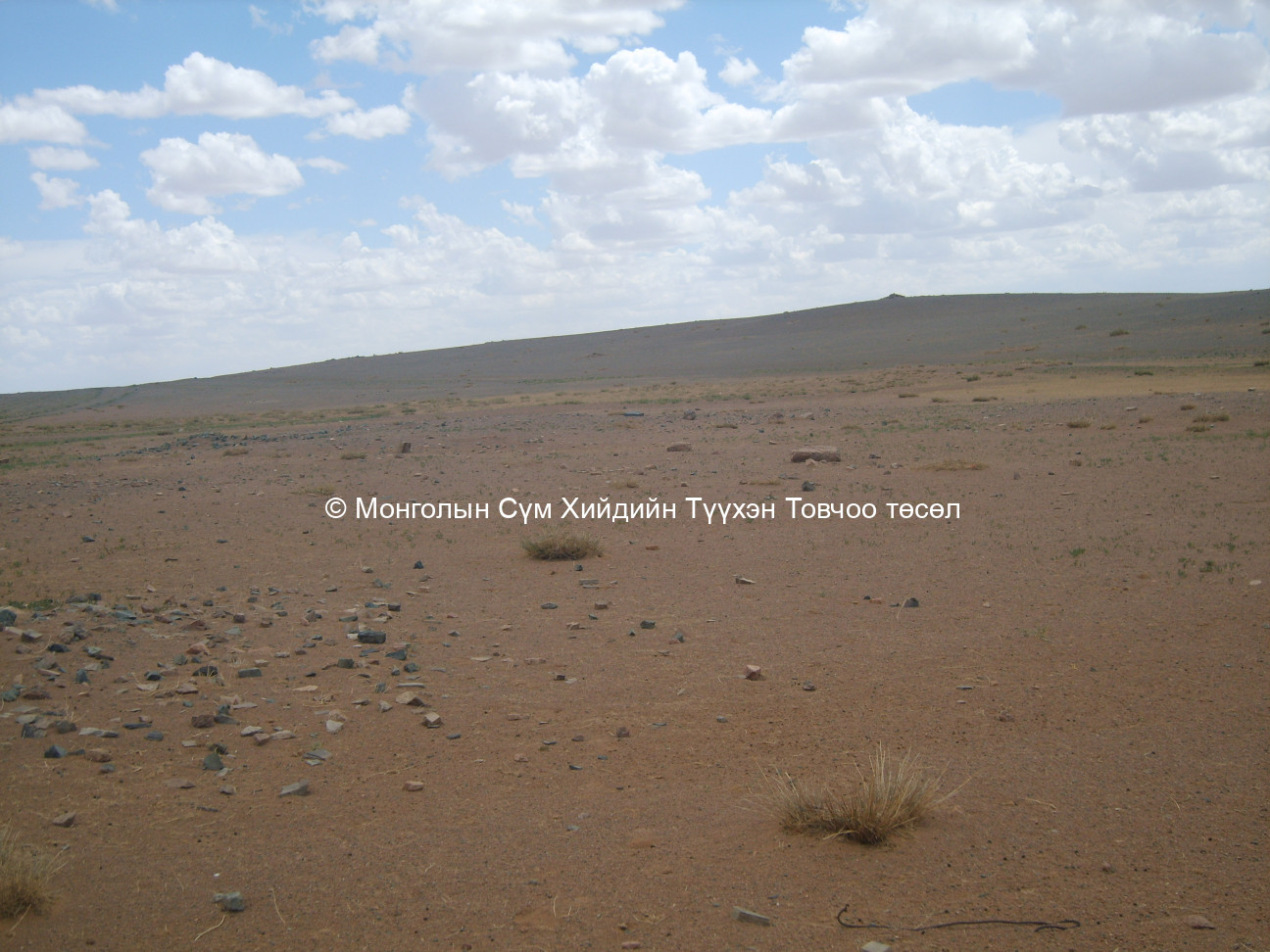 Хойд талаас авсан 